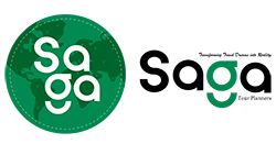 Saga Tours